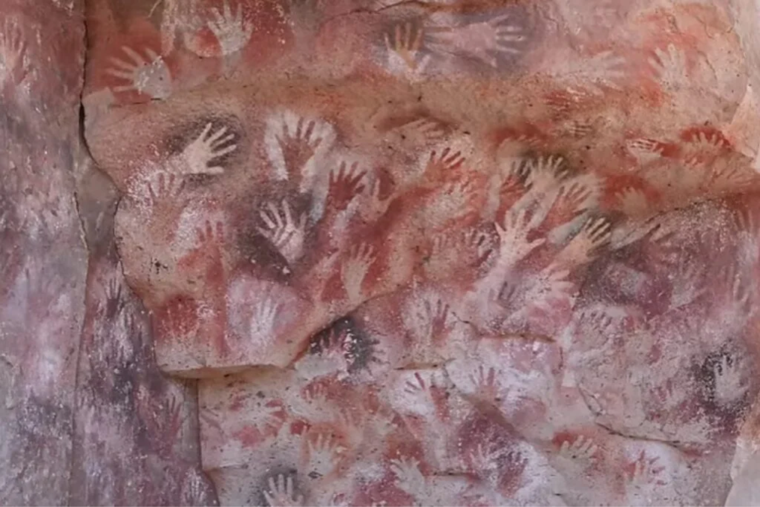 Habitantes Da Patagônia1