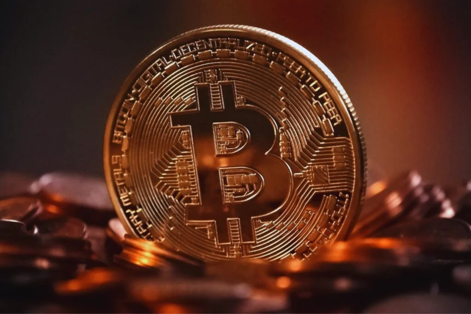 Milhões Em Bitcoin1