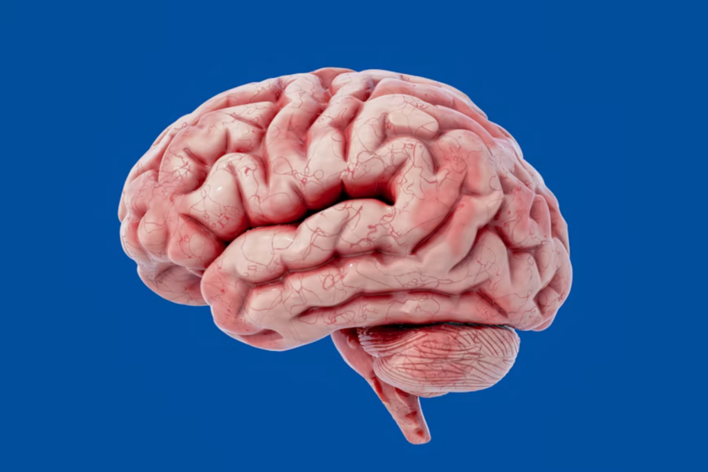 ¿sem Motivação Neurocientista Explica Como Música E Boas Lembranças Podem Ajudar O Cérebro A Começar Uma Tarefa