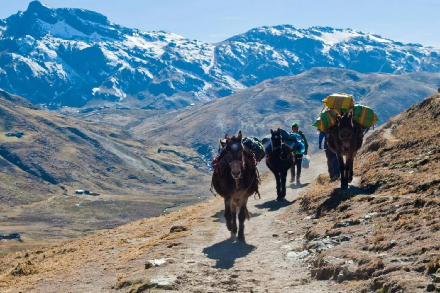 Andes1