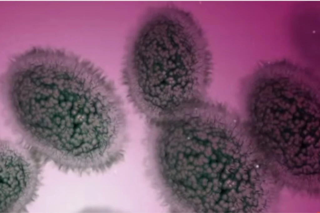 Capripoxvirus