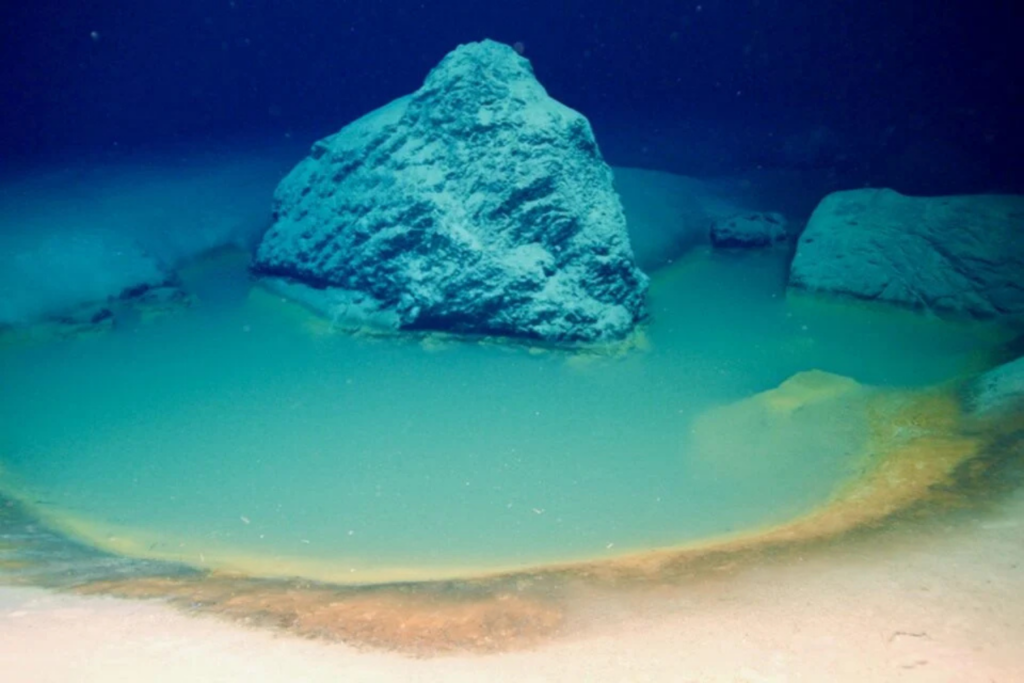 Cientistas Encontraram Uma “piscina Da Morte” No Fundo Do Mar Que Desapareceu. Ela Pode Revelar Como A Vida Começou Na Terra