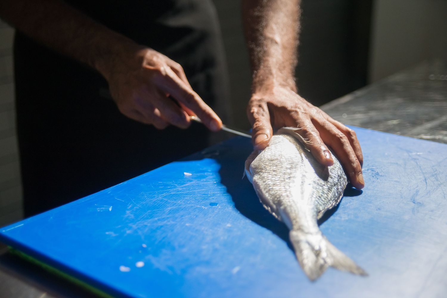 Do oceano ao prato: a viagem invisível de contaminantes que preocupa cientistas