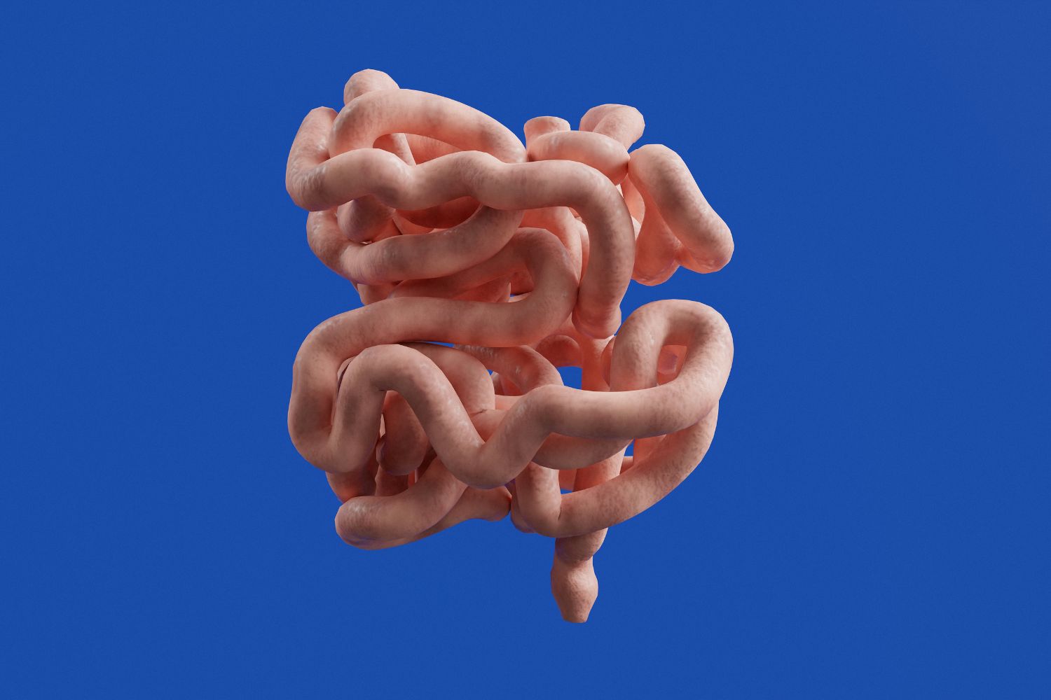 O ‘intestino permeável’ virou fenômeno nas redes sociais — mas a ciência faz uma distinção importante