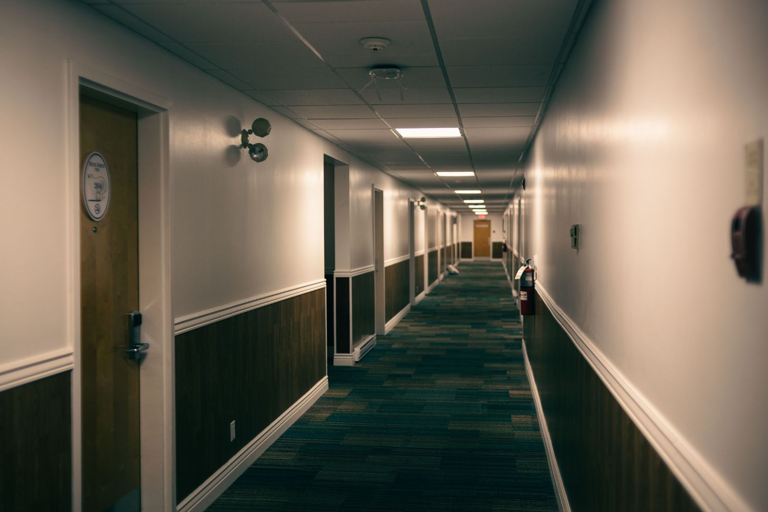 Existe um detalhe nos filmes de terror que assusta seu cérebro antes mesmo de você perceber