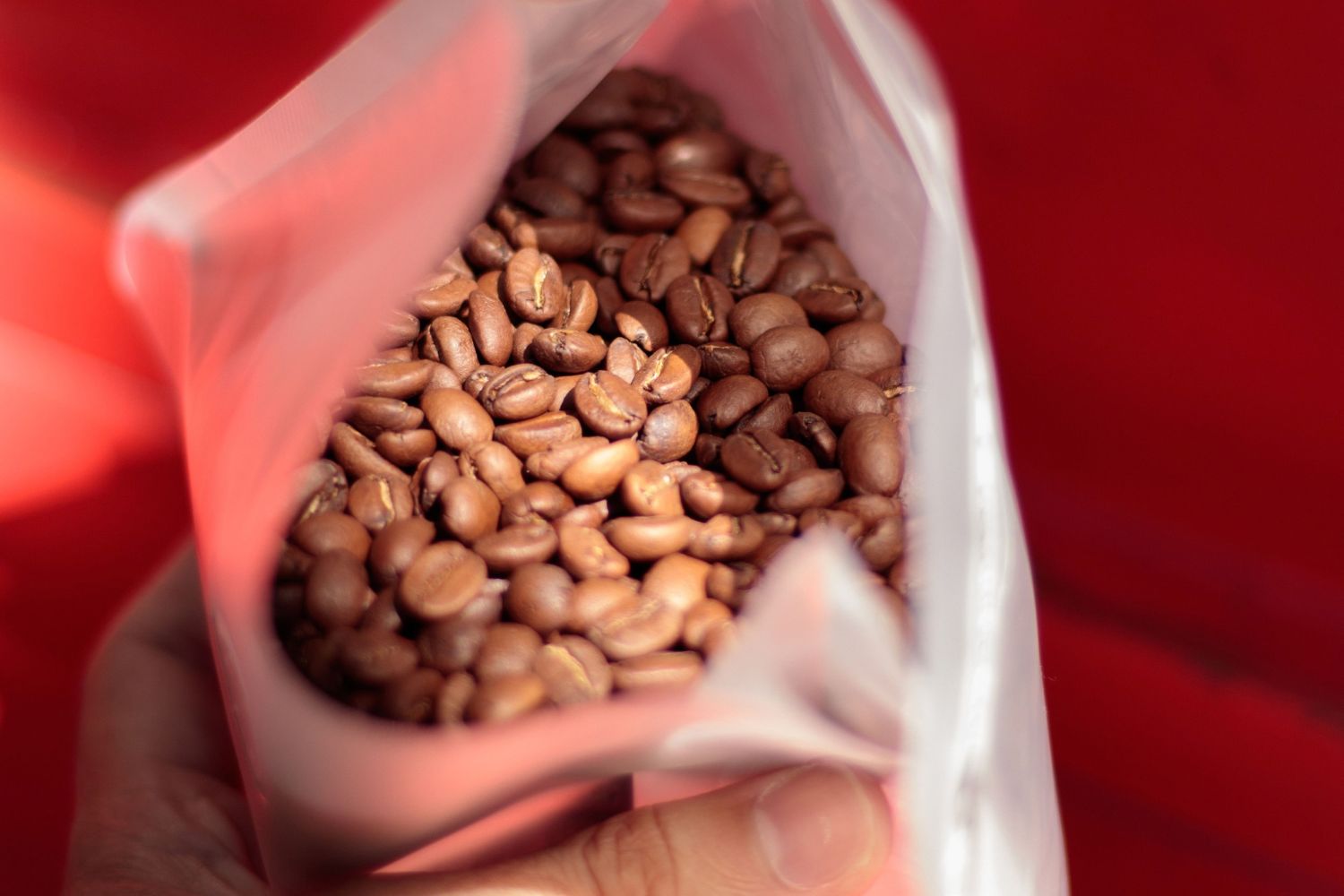 Seu café pode estar ficando pior antes mesmo do primeiro gole e cinco hábitos comuns ajudam a explicar por quê