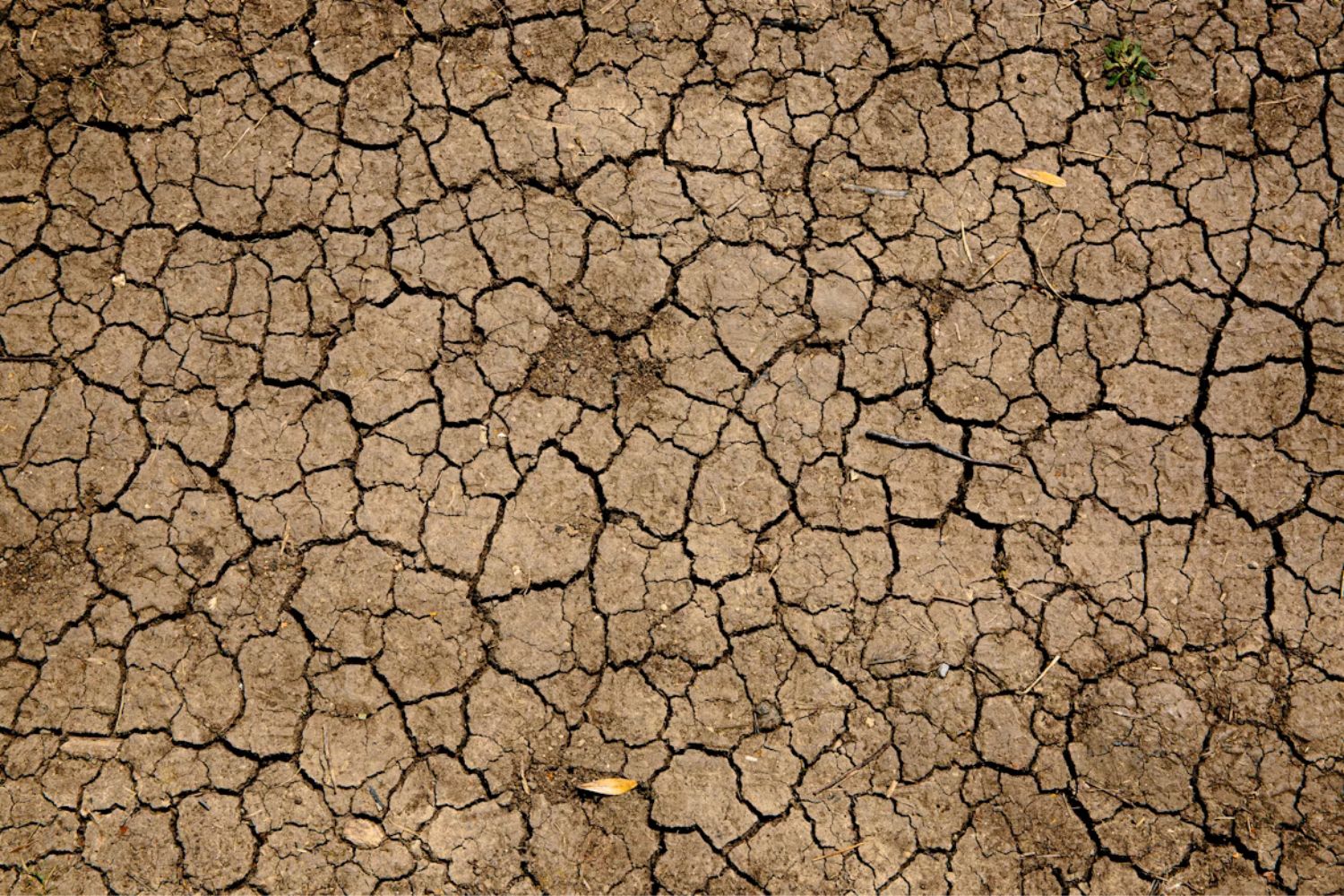 O Brasil está quebrando recordes climáticos, mas um tema quase desapareceu da campanha eleitoral