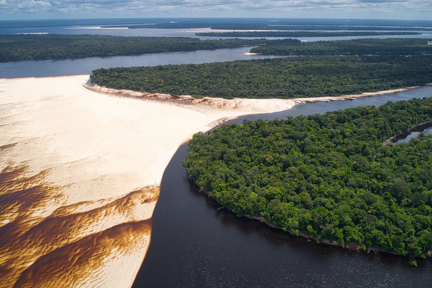 Lasers atravessaram a floresta amazônica e revelaram algo que ficou escondido por cerca de 2.500 anos