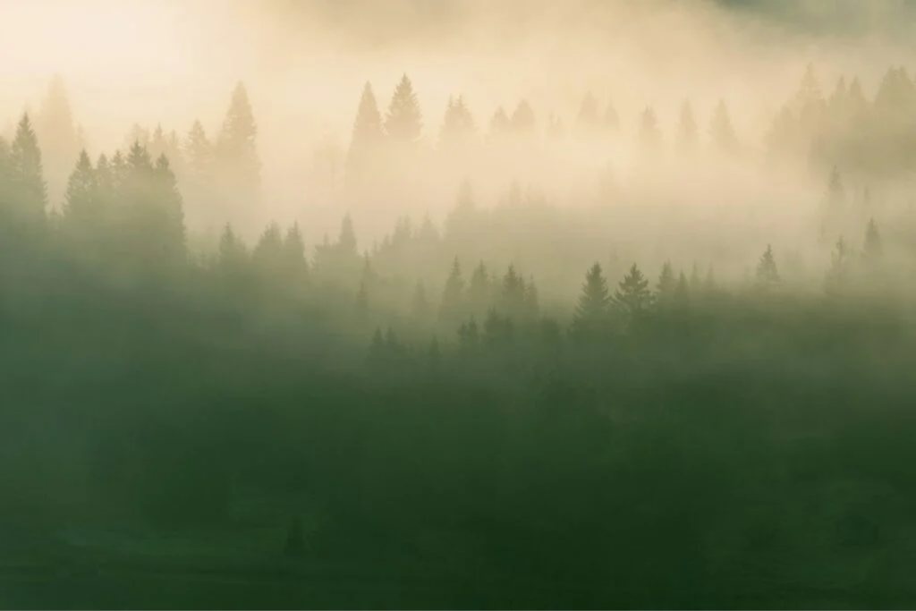 Atmosfera1