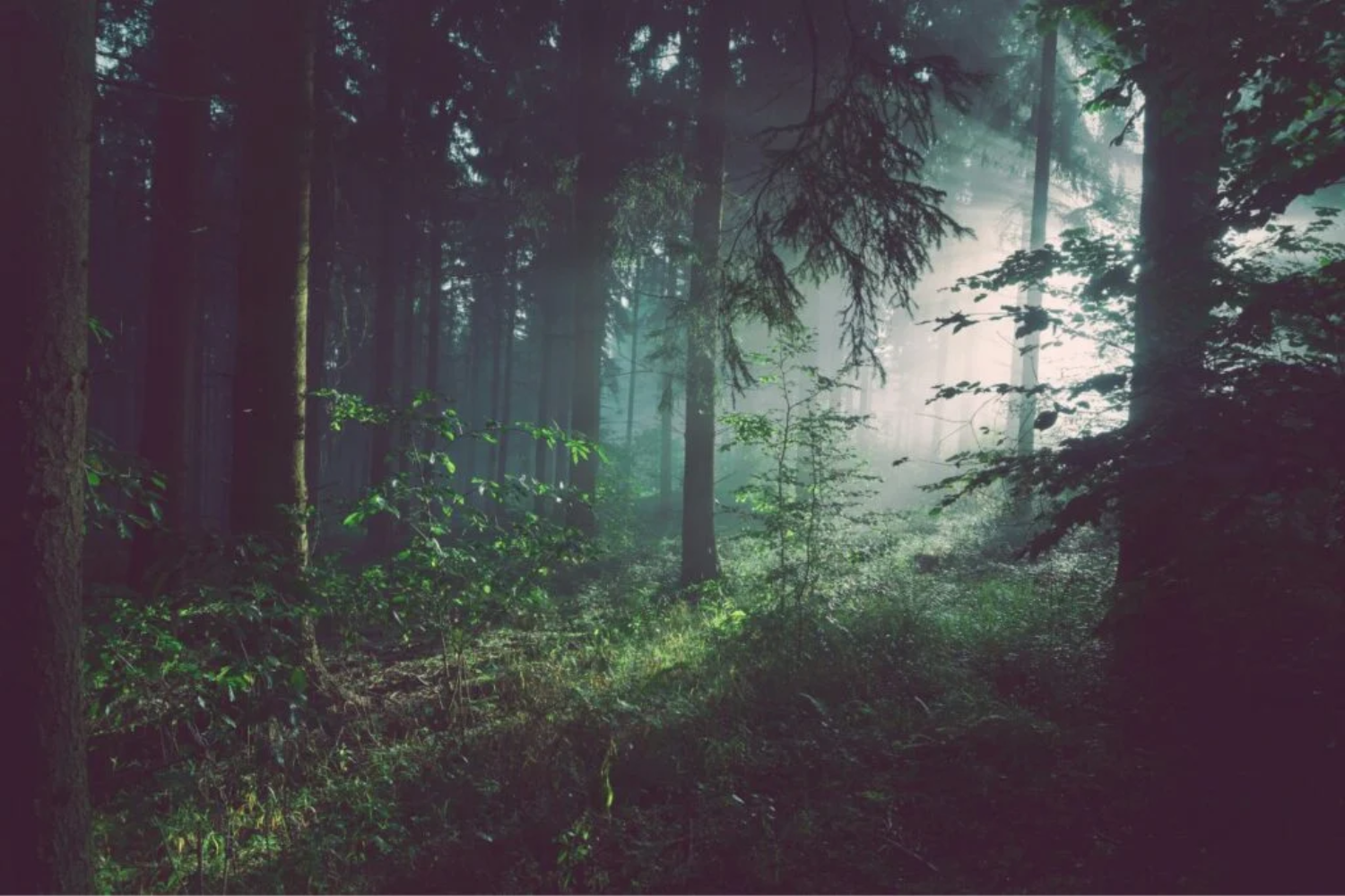 Atmosfera2