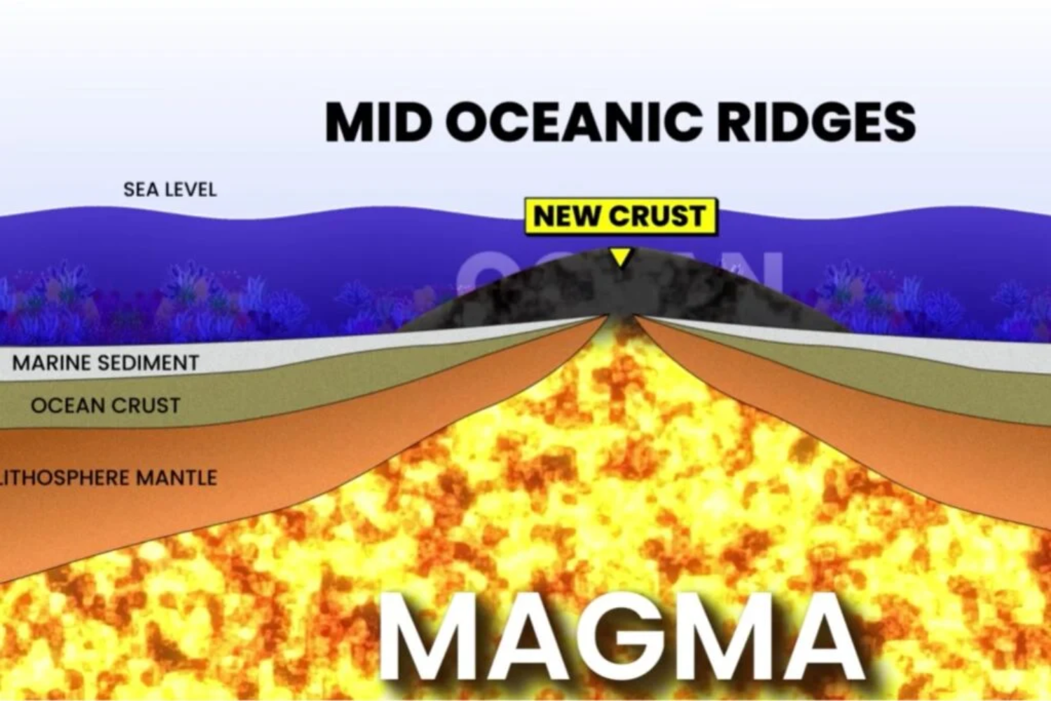 Magma1