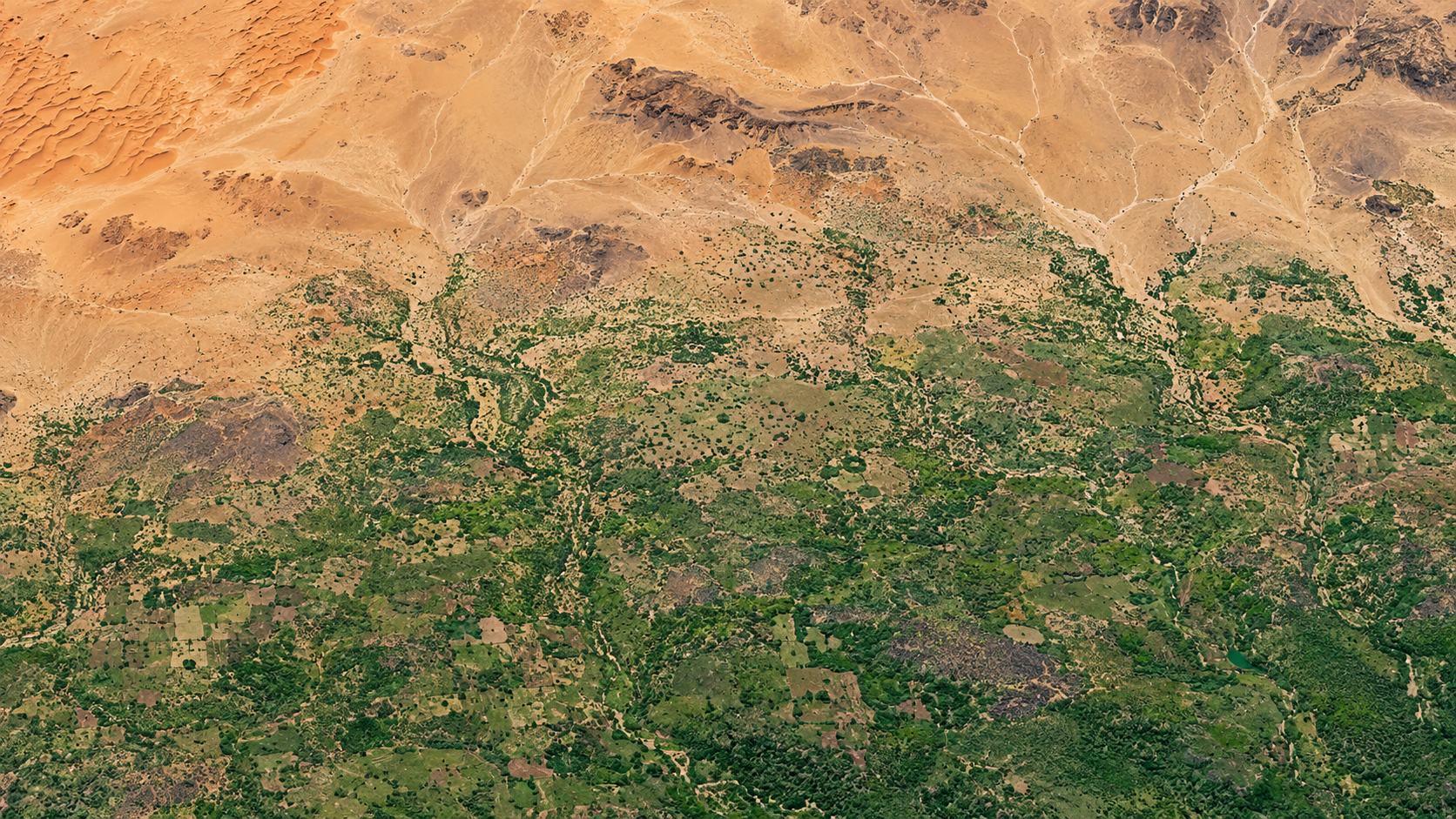 A África Quer Erguer Uma Muralha Verde De 8 Mil Quilômetros.