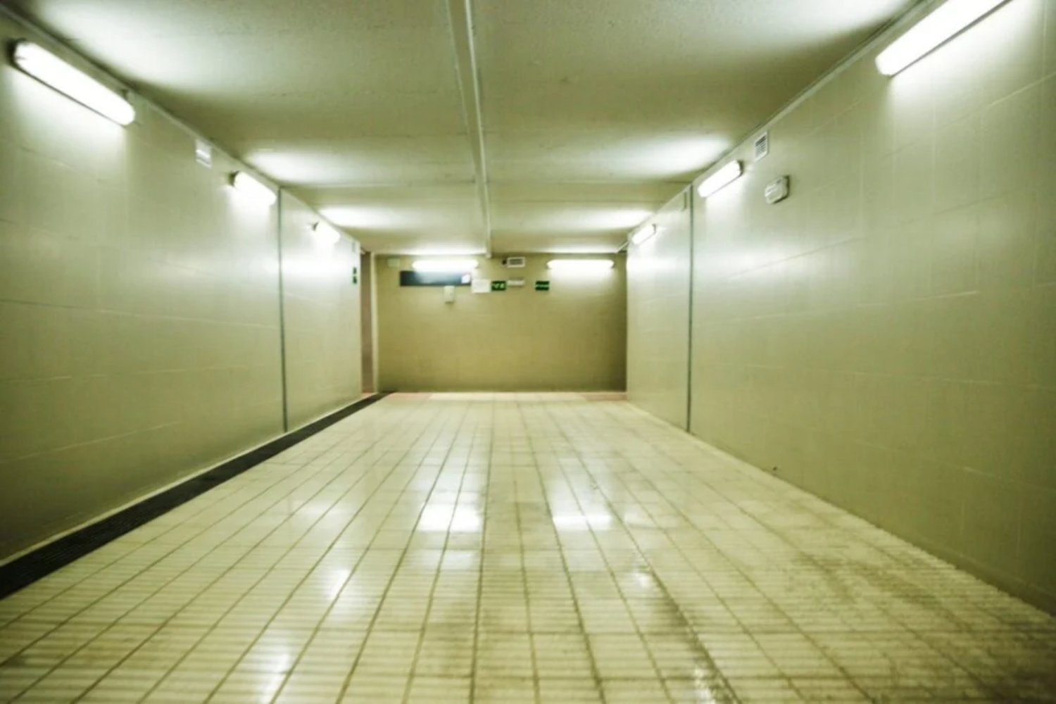 Backrooms1