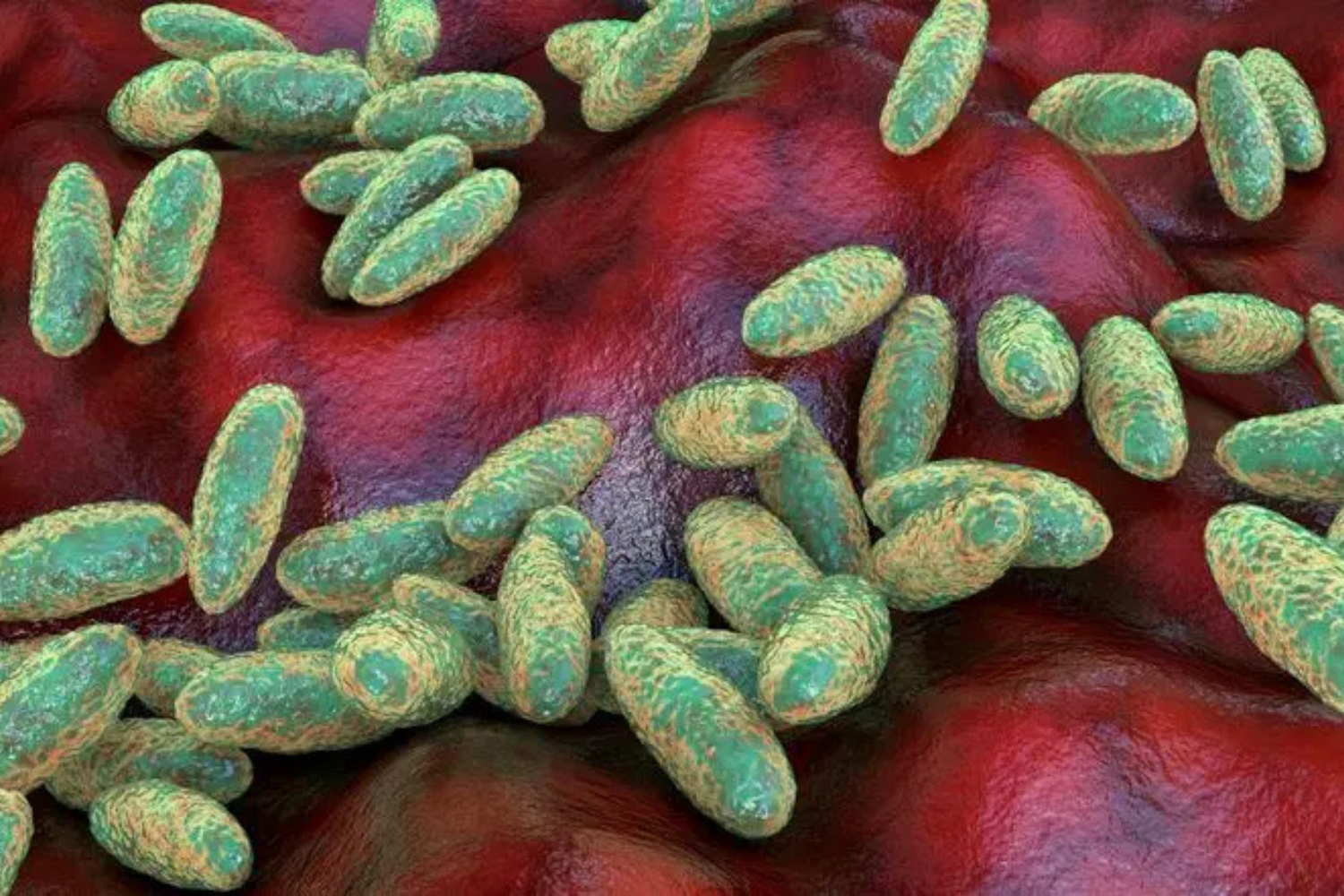 Bacteria Siberia