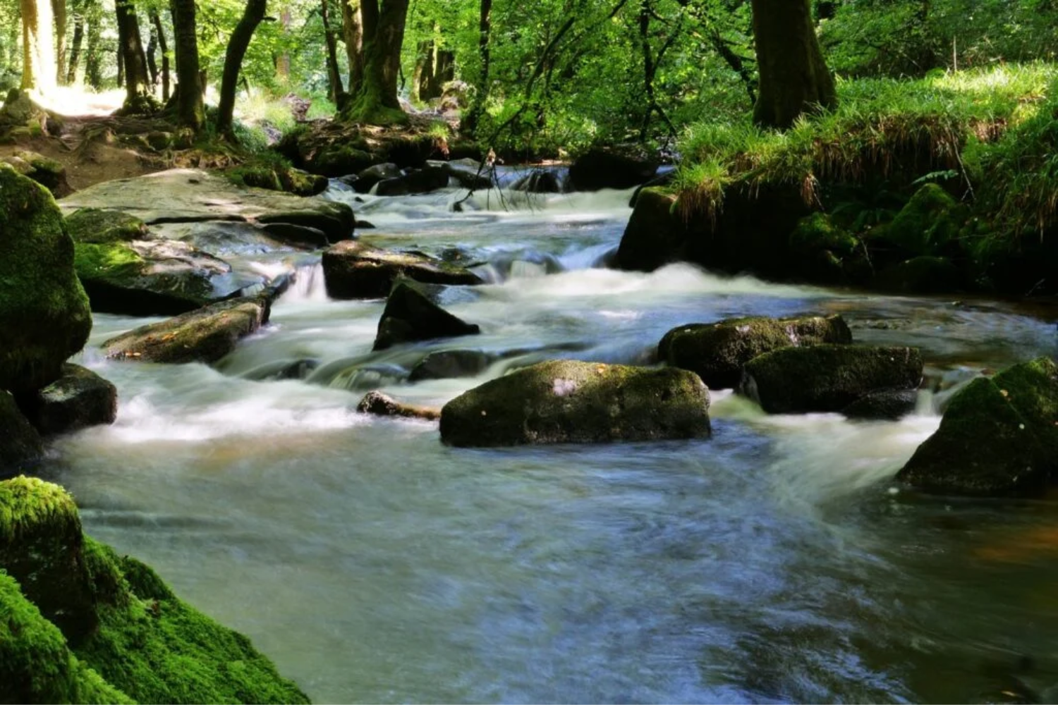 Cajari