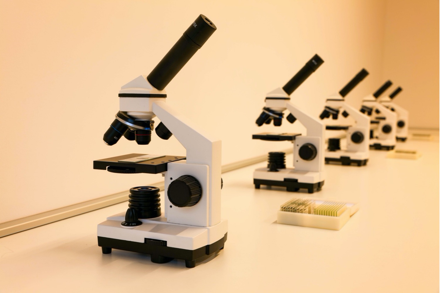 Eles colocaram água sob o microscópio e encontraram um problema quase invisível que já atravessa o planeta