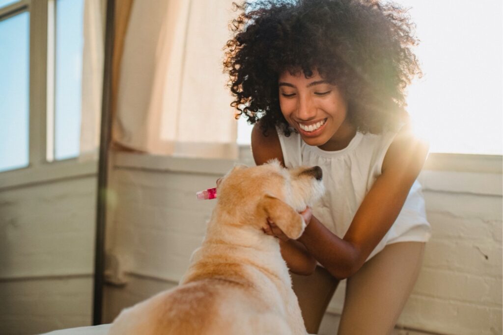 Seu cachorro sabe quando você está triste? Cientistas descobriram algo surpreendente sobre o cérebro dos cães