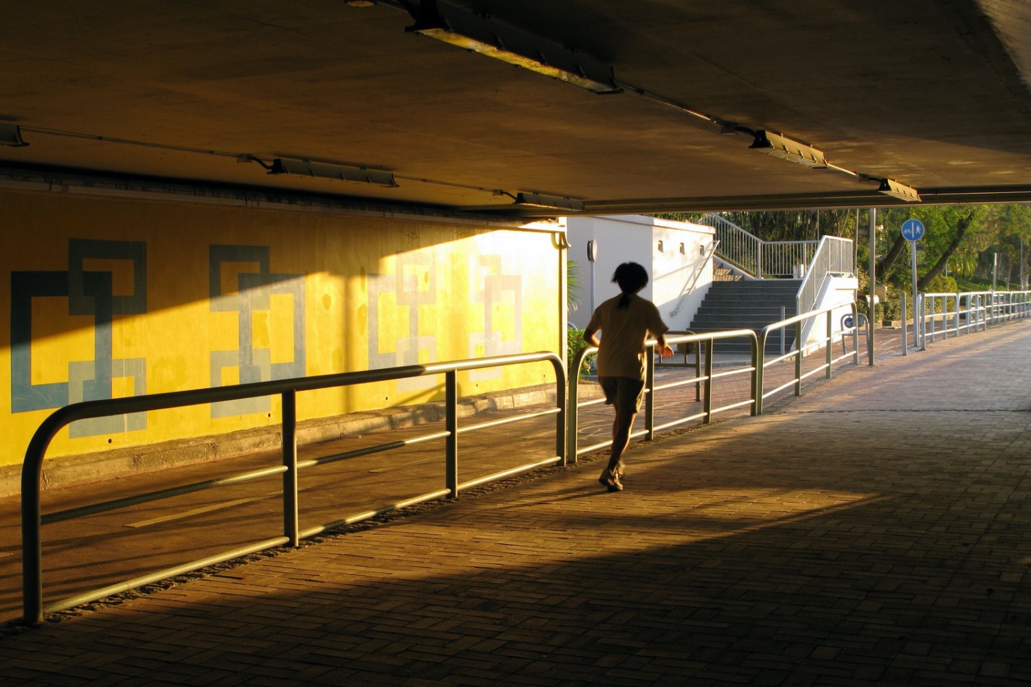 Correr desgasta os joelhos? Ciência revela uma resposta surpreendente sobre a saúde das articulações