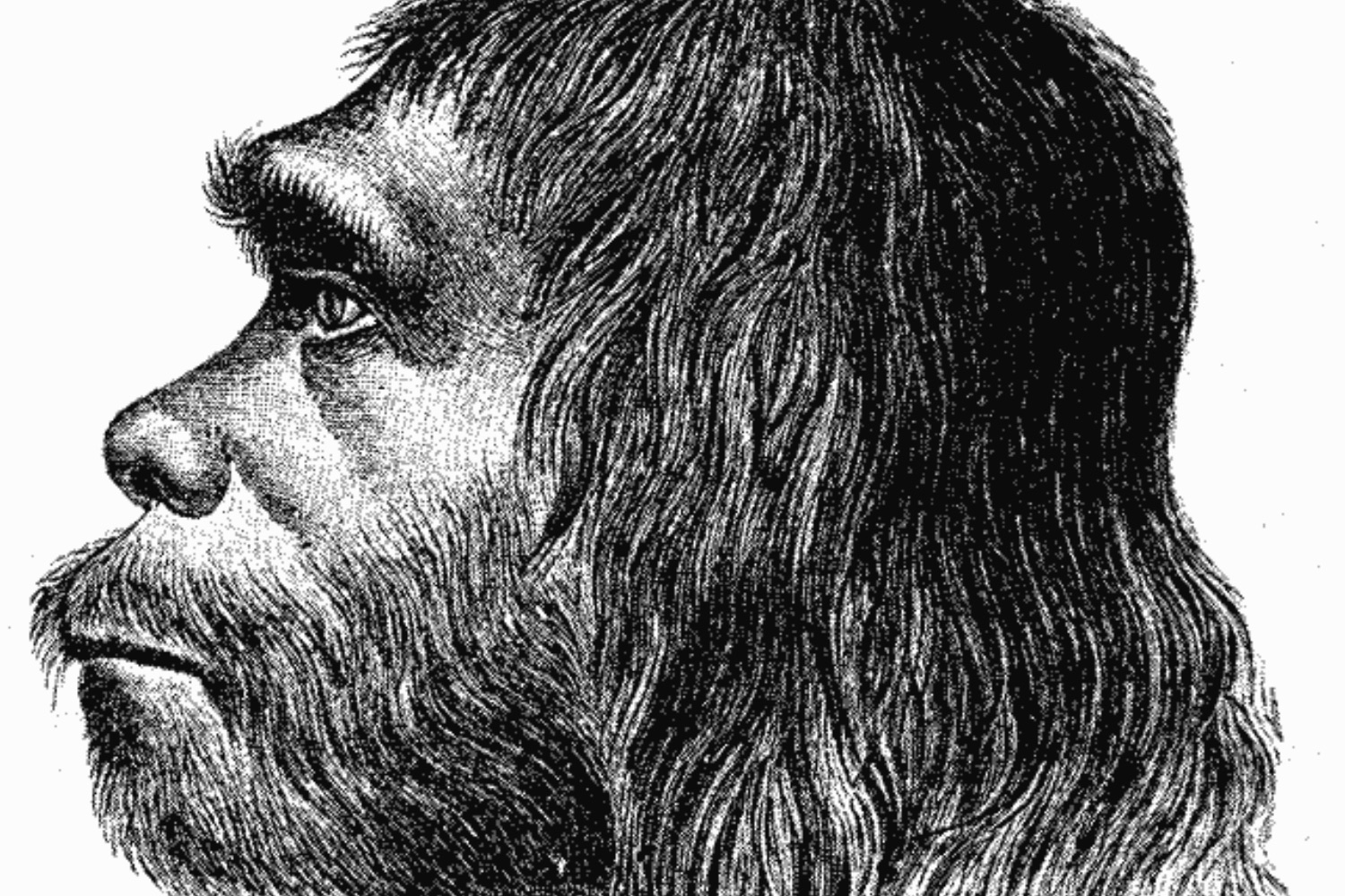 Cientistas descobrem material essencial para os neandertais que pode mudar o que sabemos sobre sua inteligência