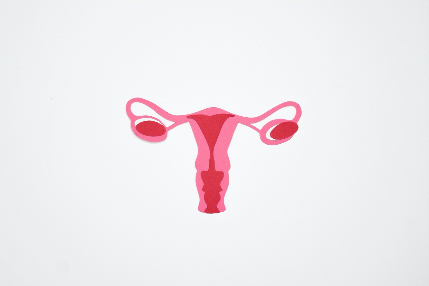 Cientistas descobrem que os ovários continuam ativos após a menopausa e podem esconder uma função inesperada