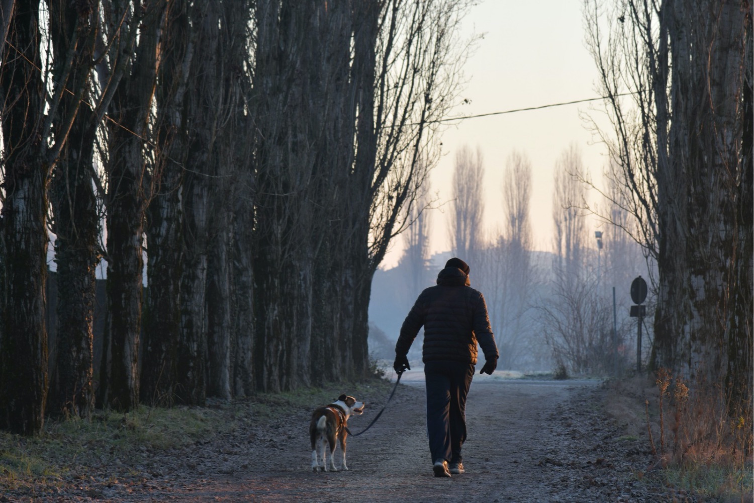 Ele saiu para passear com o cachorro e encontrou algo que estava escondido havia 70 milhões de anos
