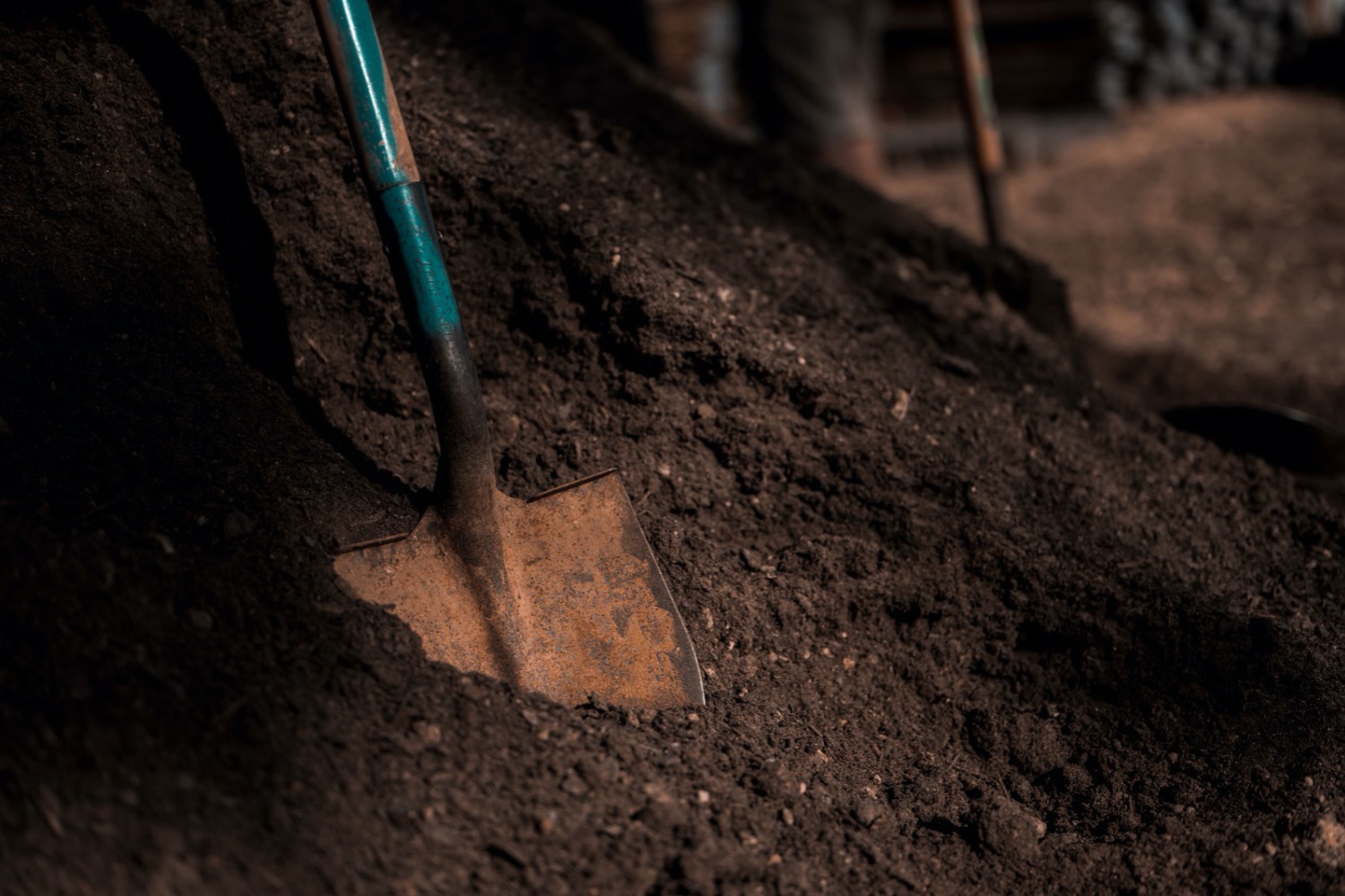 Compostagem humana transforma corpos em solo fértil e surge como alternativa ao enterro tradicional