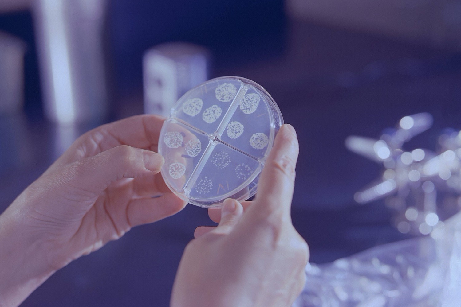 Ciência permite selecionar embriões sem doenças hereditárias e transforma o futuro da maternidade