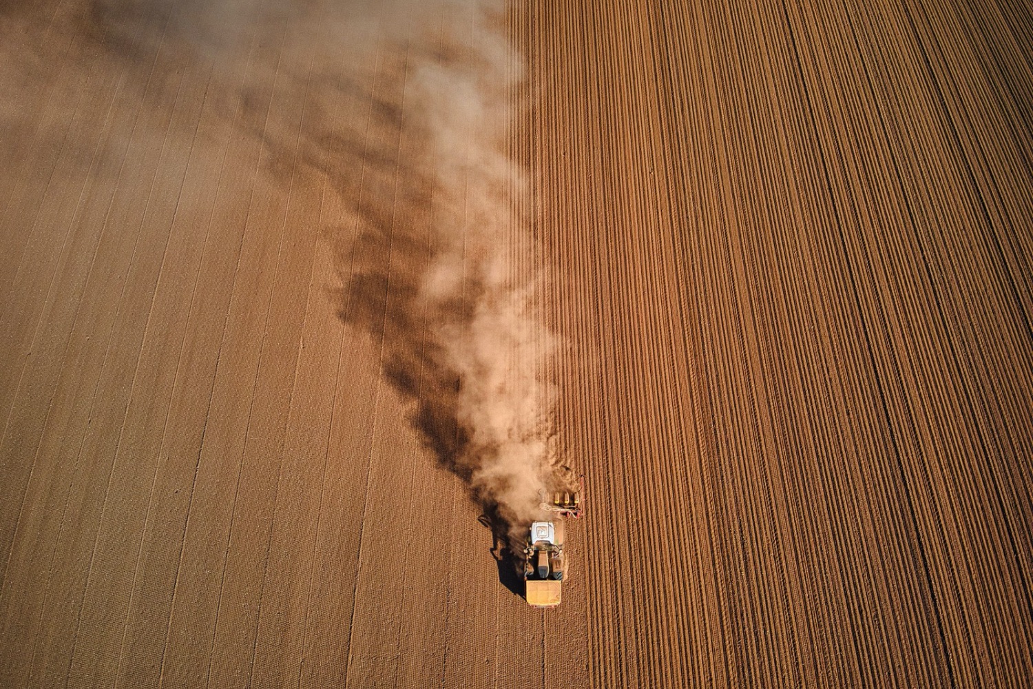Mudanças climáticas já matam 710 mil pessoas por calor em um ano e cientistas pedem emergência sanitária mundial