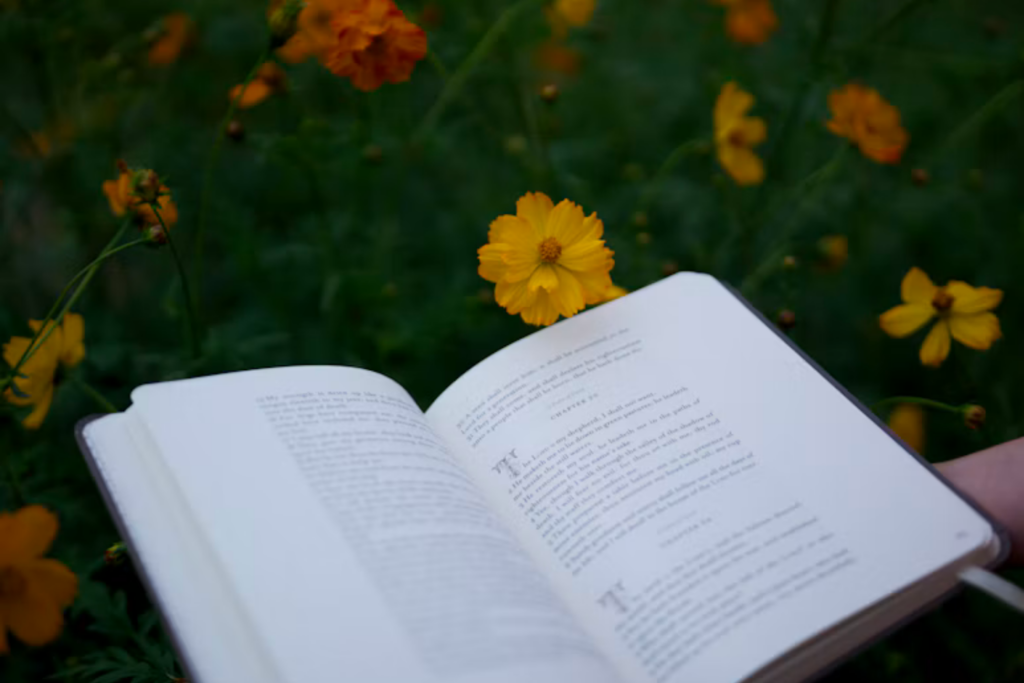 Livros Escritos Por Humanos Começam A Ganhar Selo De “literatura Orgânica”