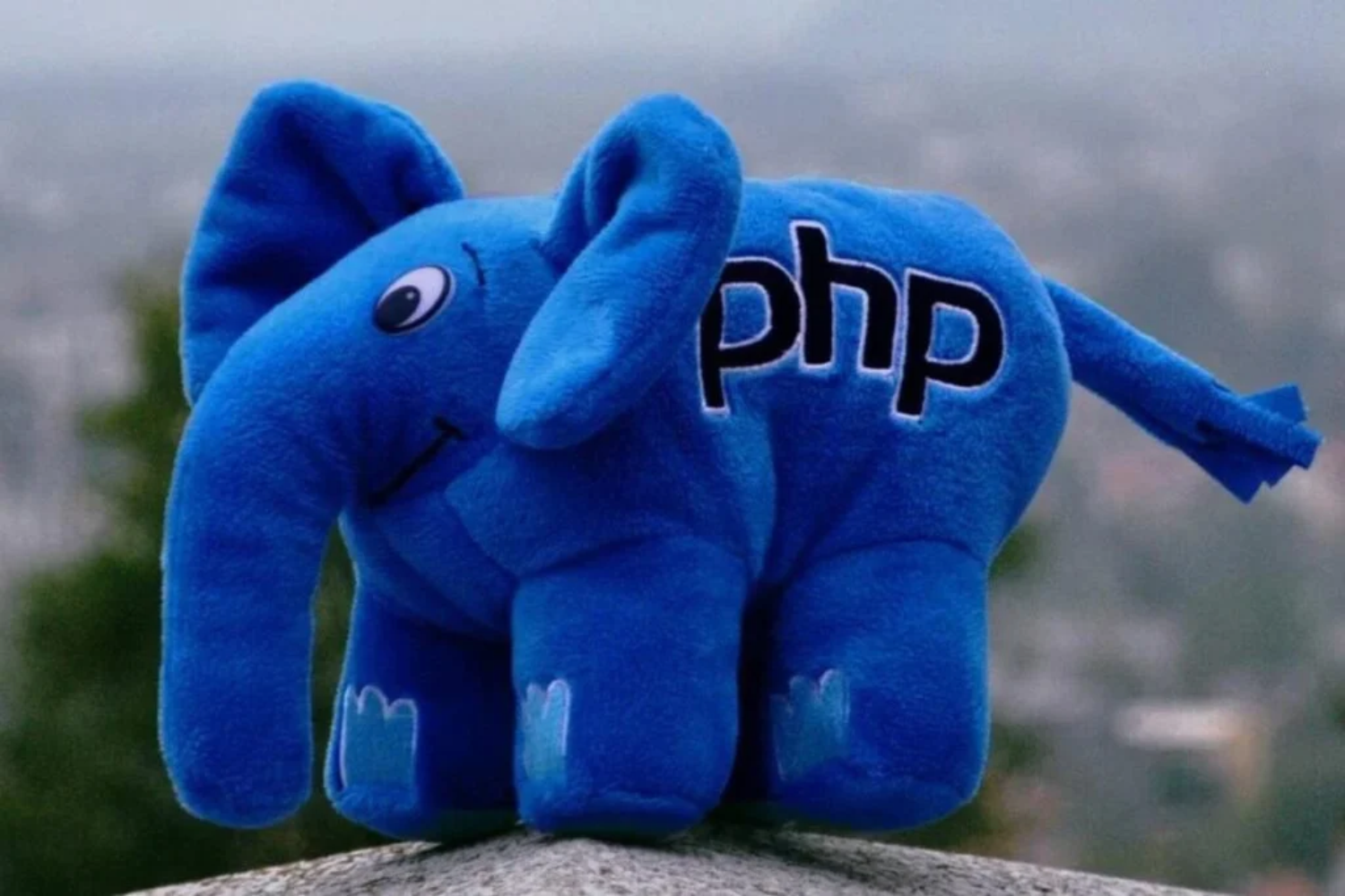 Php2