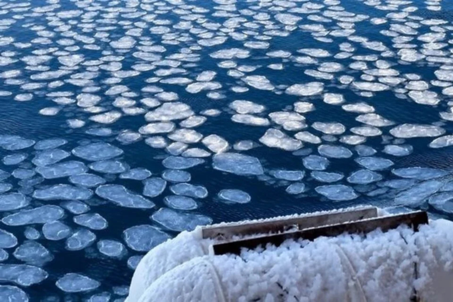 Uma Camada Crucial Do Oceano Está Ficando Mais Salgada Na Antártida — E Os Efeitos Podem Chegar Longe