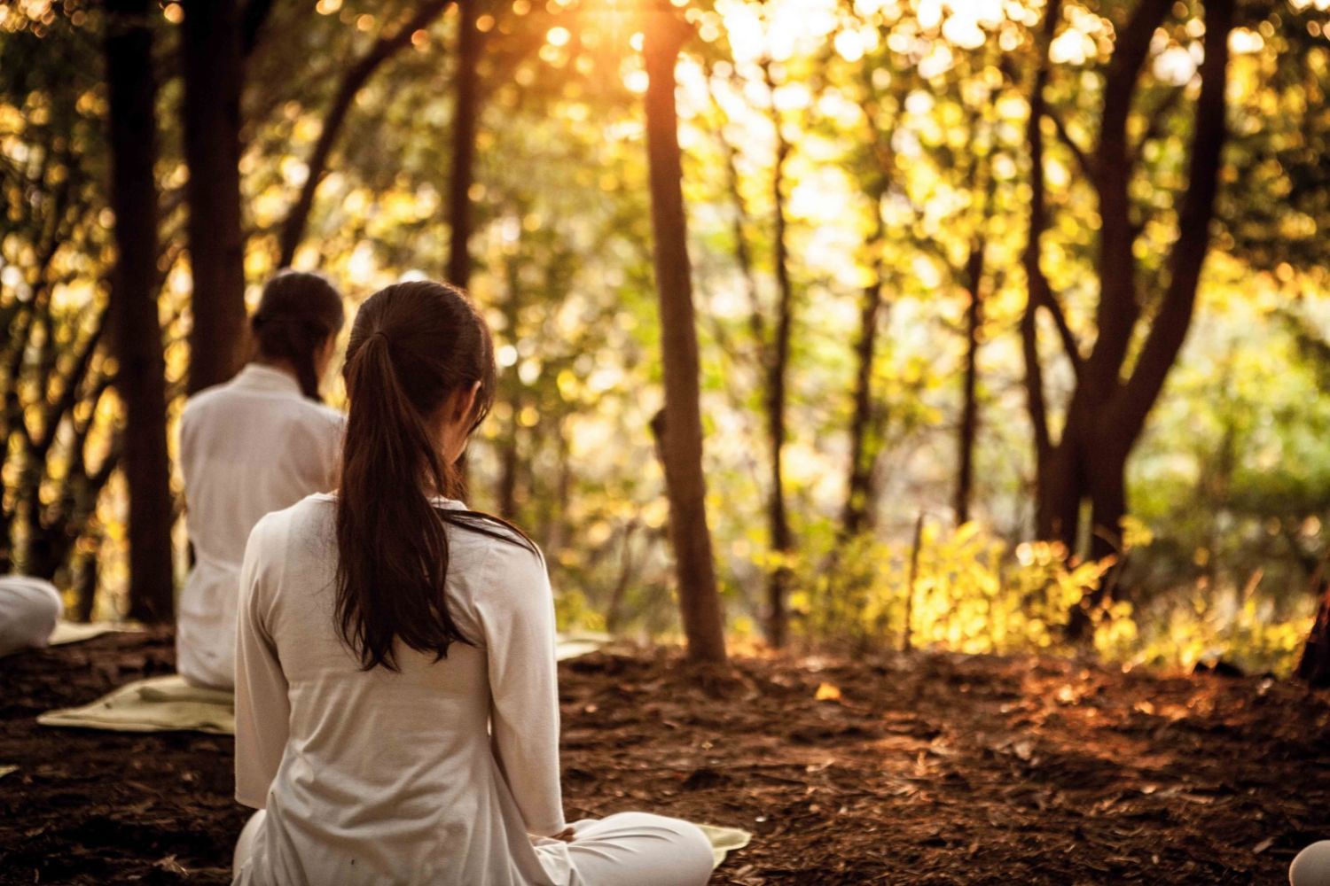 7 atividades de mindfulness que ajudam a acalmar a mente e podem ser praticadas em qualquer idade