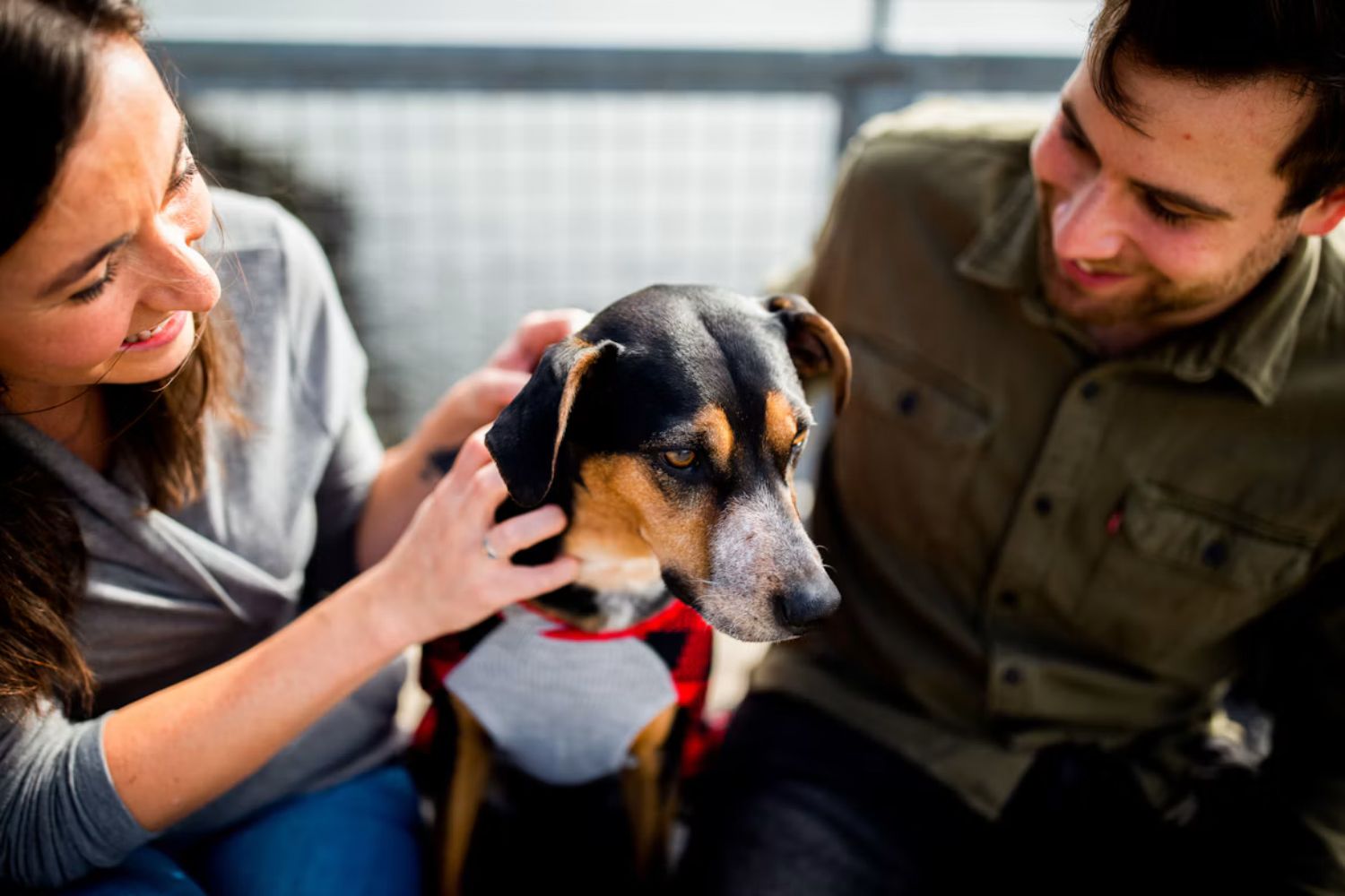 Pessoas que conversam com seus animais de estimação podem ter mais empatia, revela a ciência