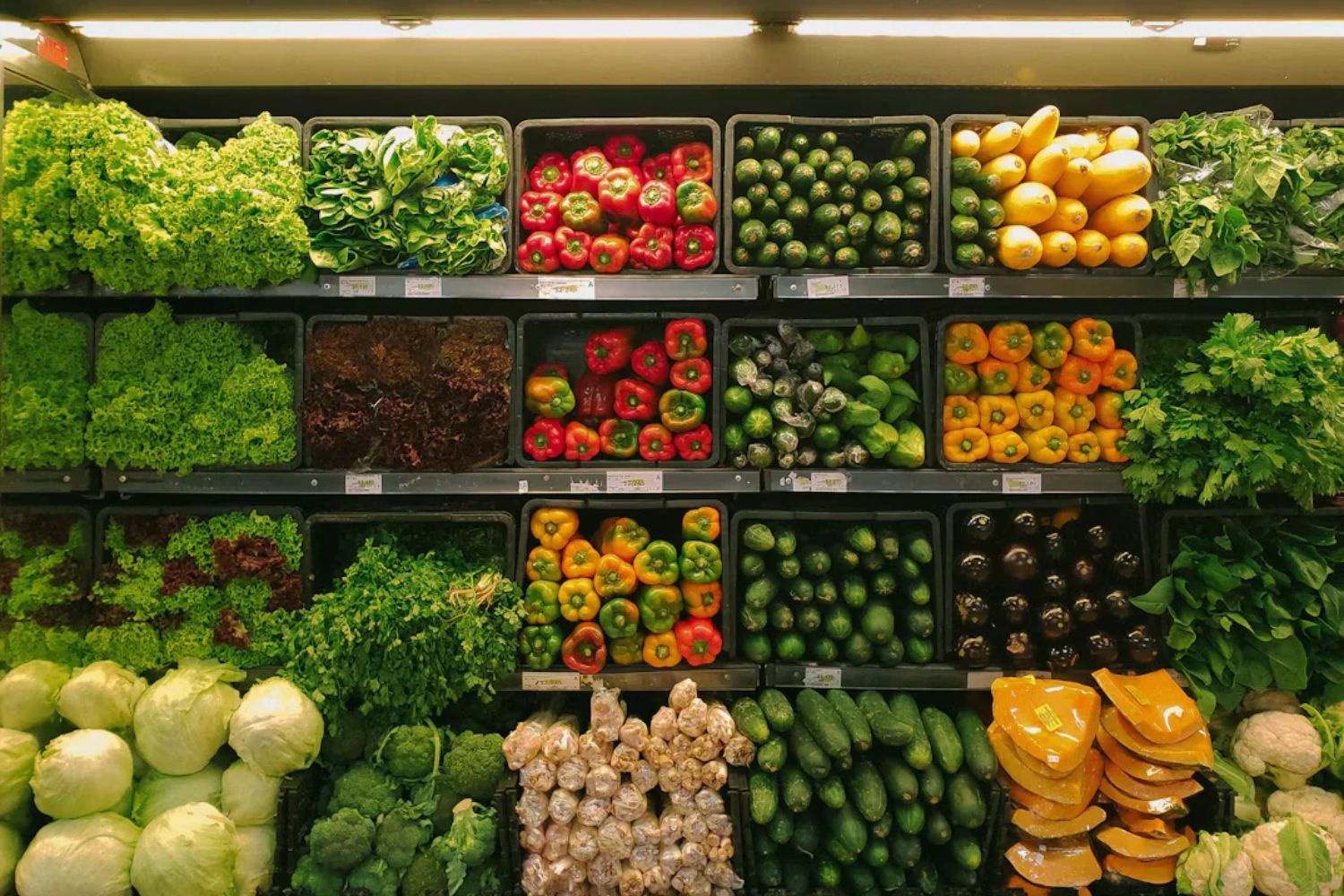 Seu DNA pode revelar como seu corpo reage aos alimentos e mudar o futuro das dietas