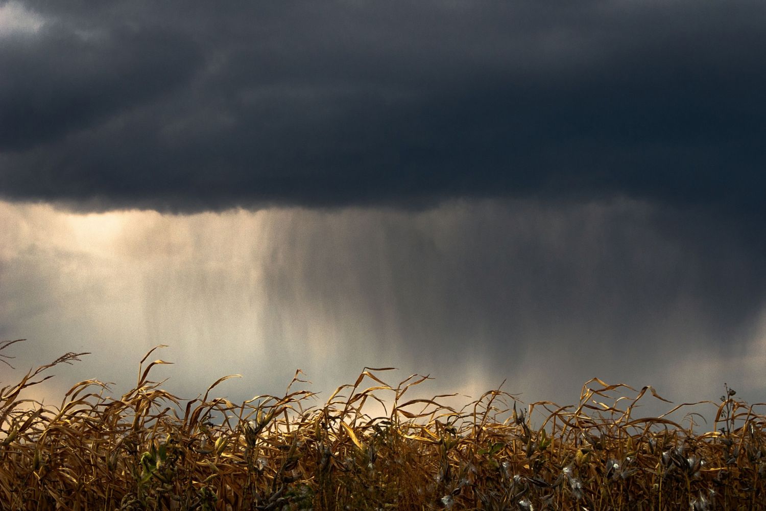 Cientistas alertam para um Super El Niño que pode mudar o clima do Brasil em 2027