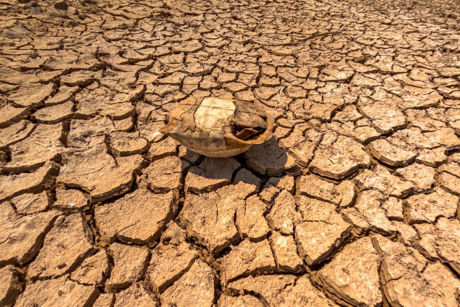 Cientistas alertam para um Super El Niño que pode mudar o clima do Brasil em 2027