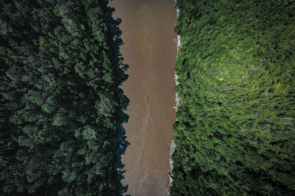 A eleição deste domingo pode mudar o destino da Amazônia por muitos anos