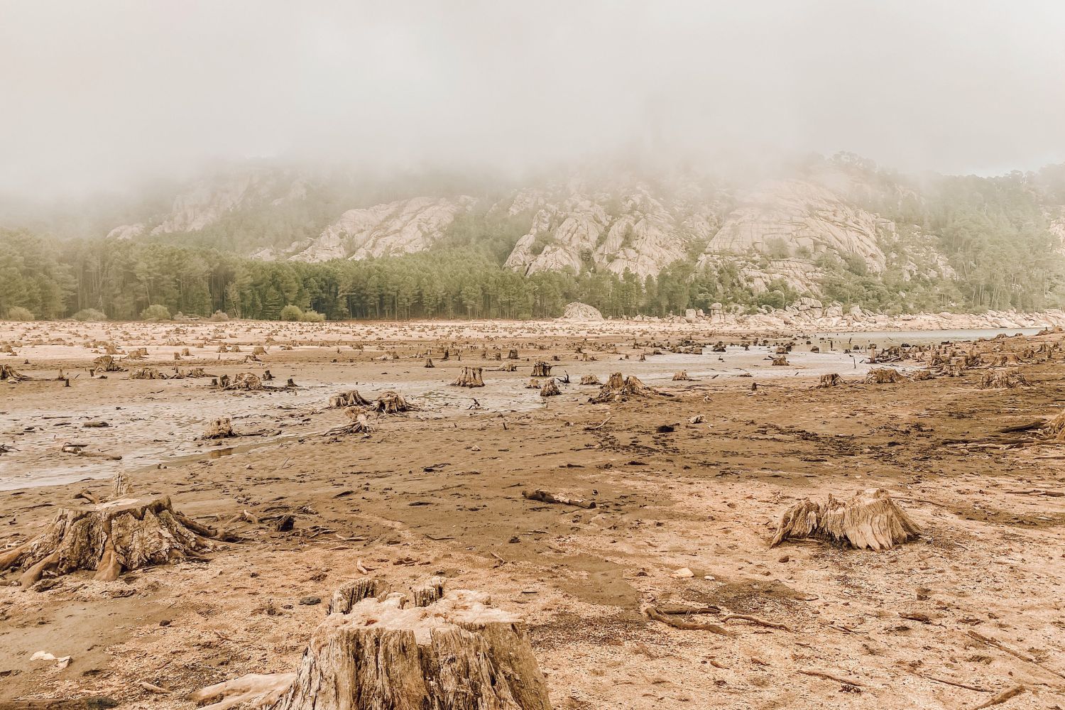 Cientistas encontram provas cada vez mais fortes de que a humanidade está alterando o clima da Terra