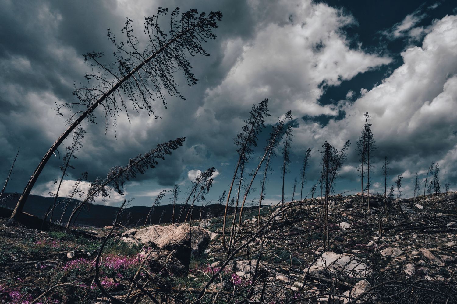 Cientistas encontram provas cada vez mais fortes de que a humanidade está alterando o clima da Terra