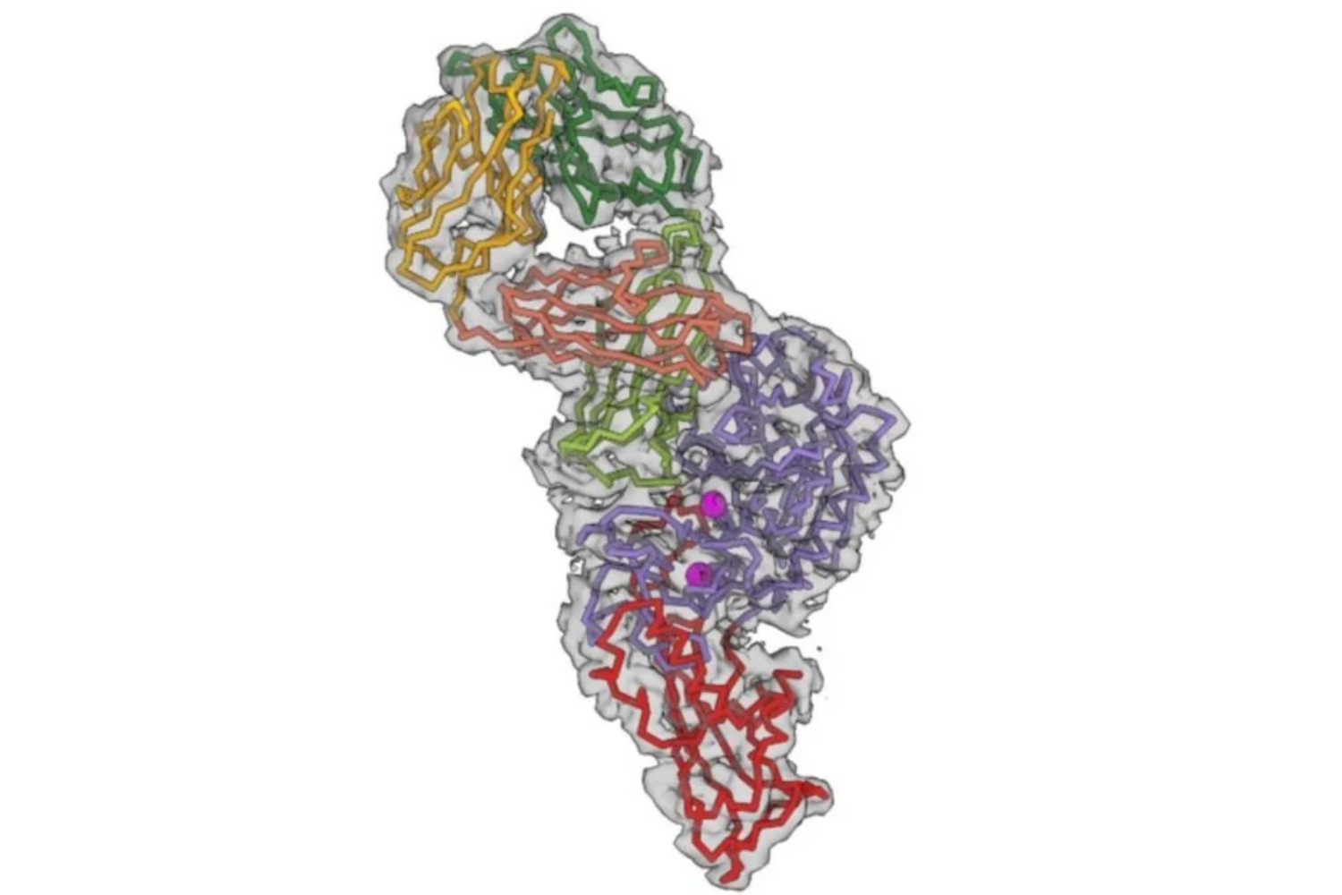 Bactérias2