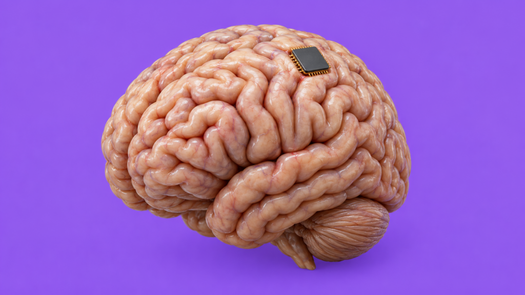 OpenAI e fundo de Peter Thiel apostam em implante cerebral que pretende monitorar o câncer