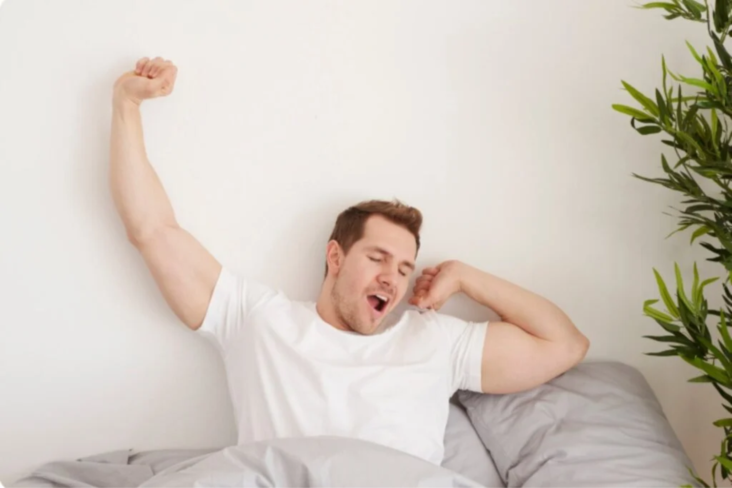Dormidores